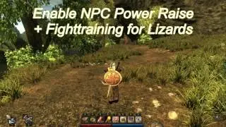 More mods for Risen)