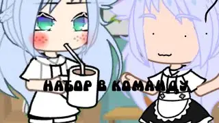 Набор в команду 🐻❤️~[rina____exe]