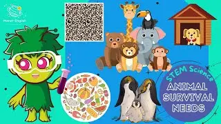 What Do Animals Need to Survive | KS1 Science | STEM and Beyond