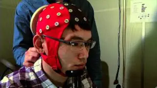 Seeing Beyond the Visual Cortex | Science Nation