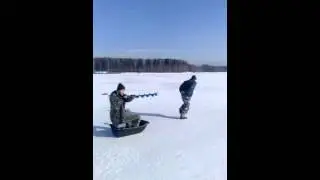 Биатлон на санках.