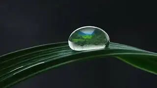 Water Drop Transition After Effects Showcase