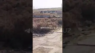 Тракторчиларни ҳам духини жиловлаб бўлмай кетди 😳👍Тракторчи танишларга юбориб қўямиз))