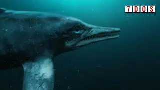 Ichthyosaurs May Have Evolved Much Earlier Than We Thought | 7 Days of Science