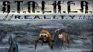 Стрим №2 Stalker Anomaly Reality - Одиночка как смысл жизни