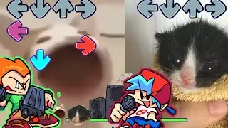 FNF Pico BUT its POP CAT VS Towel Kitten! Friday Night Funkin' Week 3 Hard