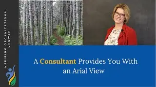 What Does a Business Consultant Do? Spotting the Forest Fire  #carrielynnhotson #knowingwhoyoulead