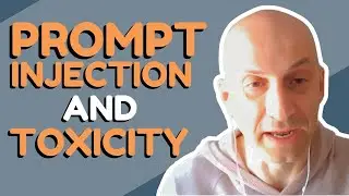 Tips to Prevent Prompt Injection & Toxicity // Boris Selitser // MLOps Podcast #241 clip