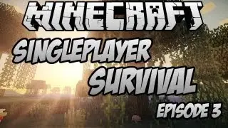 Singleplayer Survival | Episode 3 | Lava Tragedy