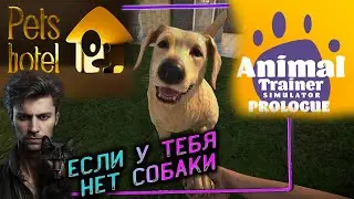 Animal Trainer Simulator & Pets Hotel