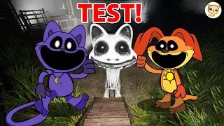 What happened to the Catnap X Dogday Smiling Critters after meeting Zoonomaly? TEST