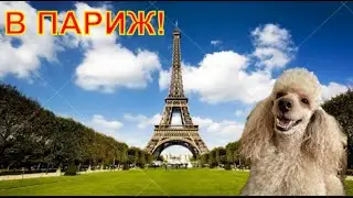 И пошли до города Парижа!