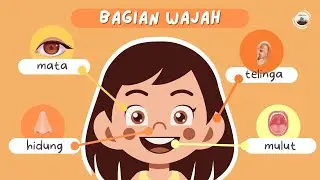 Belajar Anggota Tubuh  Dengan Animasi Keren | Mengenal Bagian Badan | Edukasi Anak Usia Dini