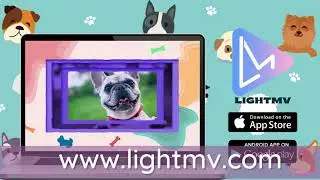 How to Make Talking Dog Video