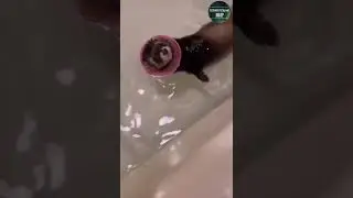 как купается харек