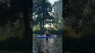 Зов джунглей 🐊 🦁 🦍 🐘 🐆