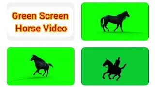 Green Screen Horse Video