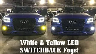 White AND Yellow Fog Lights? DeAutoLED Fogs, Reverse, & Interior on SQ5