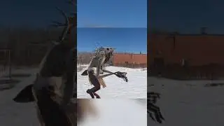 Вендиго в нашей реальности  SCP 323 охотится за нами 