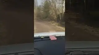 Евгенич и такси