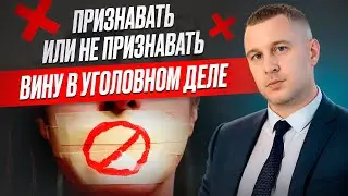 Признавать или не признавать вину в уголовном деле