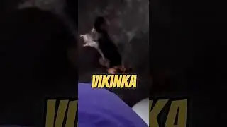 Jak se vám líbil vlog?