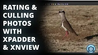 Cull Photos 10x Faster: The Secret Game Controller Workflow