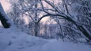 Волшебный снег (Санкт Петербург 2021 декабрь)