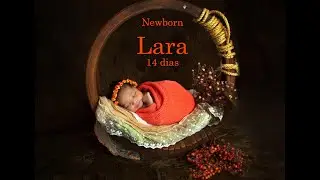 Lara 14 dias