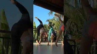 #animalflow
