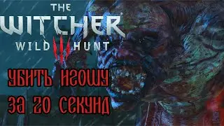The Witcher 3: Botchling in 20 seconds (WR)
