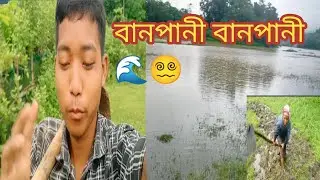 বানপানী বানপানী পথাৰত 🌊😵‍💫 | Flood Flood |Village Vlog Video