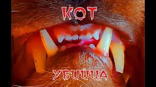 Кот-убийца ест мышь!!!