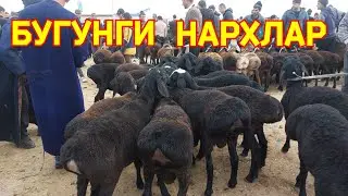 КУЗИ НАРХЛАРИ КАРШИ КАРВОН МОЛ БОЗОРИДА 07.11.2023