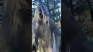 Halloween in America