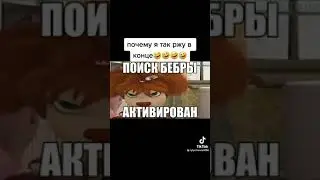 Мем 