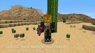 Minecraft Datapack - Cactus Gear [1.14+]