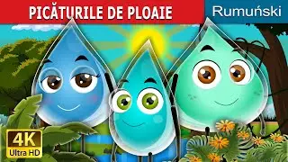PICĂTURILE DE PLOAIE | The Raindrops Story | 