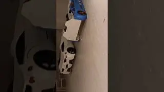 baby bed car