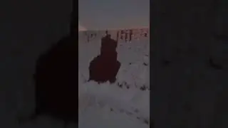 гуляю в 3 часа ночи