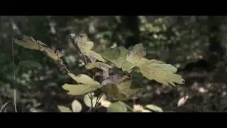 AK - Waiting