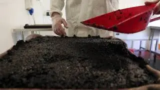 Aronia Berry Juice   Batch Production 1