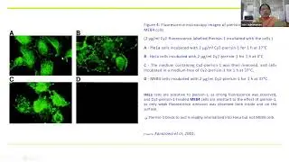 Pierisin  A High Value Insect Toxin ?