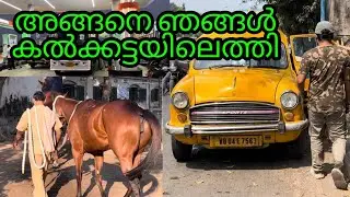 കൽക്കട്ടയിലെ വിശേഷങ്ങൾ #pkpmangalath