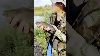 цените жизнь других существ.