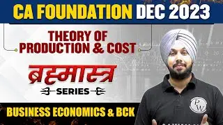 Theory of Production and Cost | Business Eco. and BCK | Brahmastra Series | CA Wallah by PW