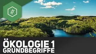 Basic concepts of ecology - Ecology 1