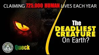 The most dangerous animal in the world || Deadliest Creature