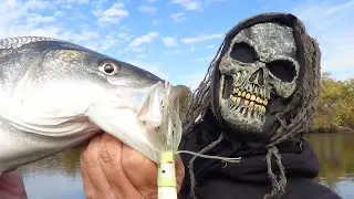 LATE OCTOBER ... DELTA STRIPERS !