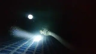 Проверь состояние воды фонариком. Избавлюсь от мути с помощью коагулянта.